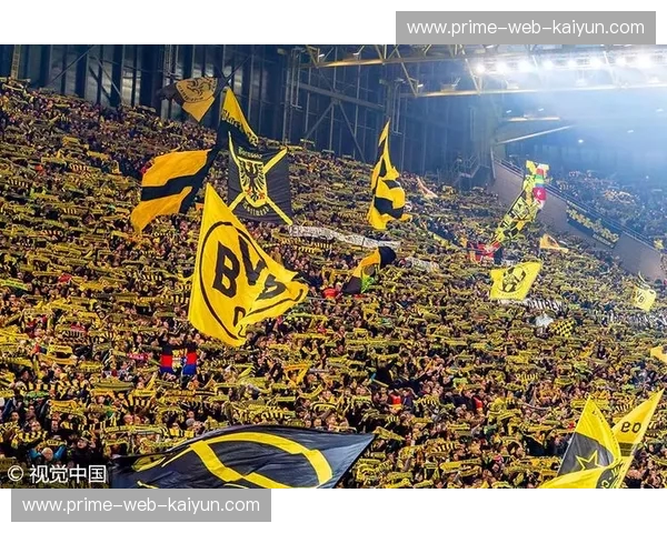 开云体育法国杯直播——享受每一场激情四溢的足球盛宴